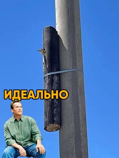 Новые смешные до слез мемы вторника