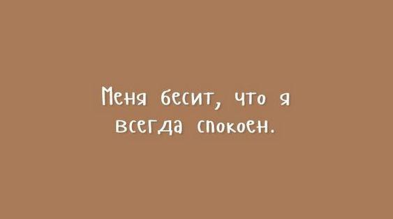 Подробнее о статье Новые шутки среды