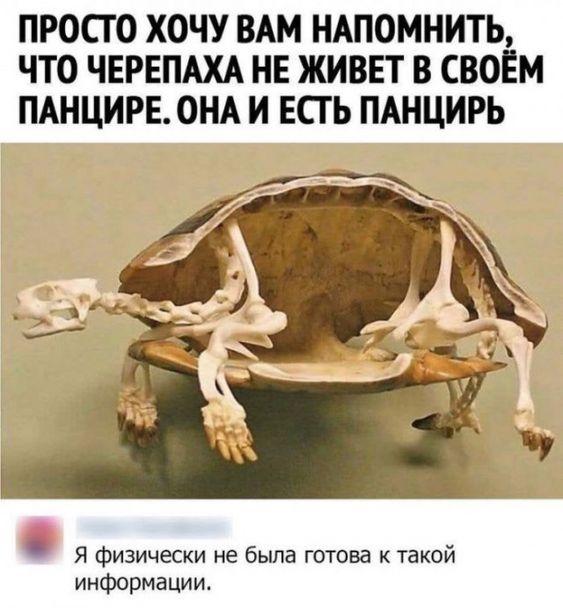 Новые ржачные мемы вторника