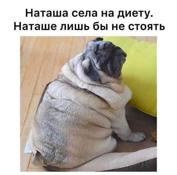 Новые ржачные мемы вторника