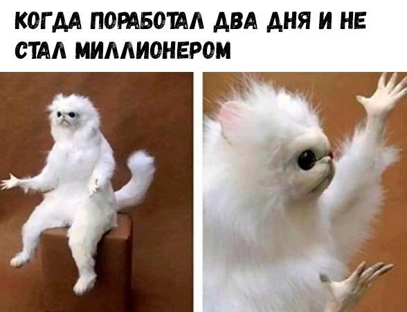 Новые ржачные до слез мемы четверга