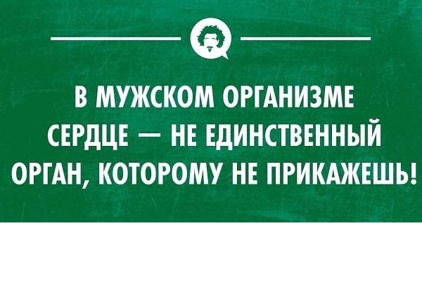 Подробнее о статье Читать мужской юмор