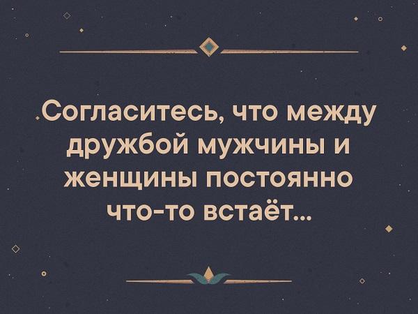 Подробнее о статье Смешные статусы про дружбу между мужчиной и женщиной