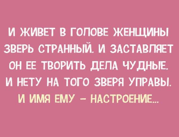 Подробнее о статье Смешные до слез статусы про женщин