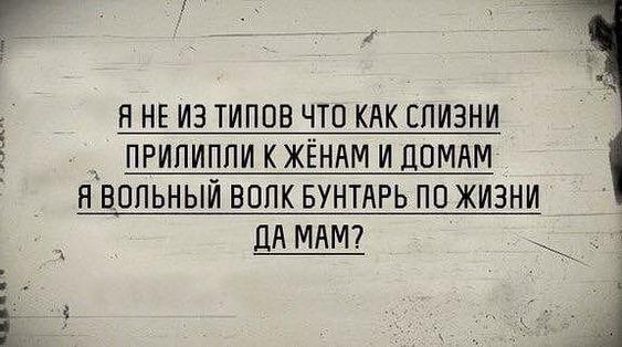 Подробнее о статье Смешные и ржачные до слез стишки