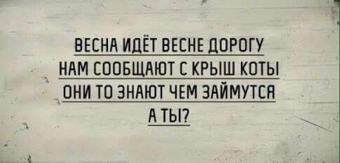 Подробнее о статье Смешные до слез стишки разные