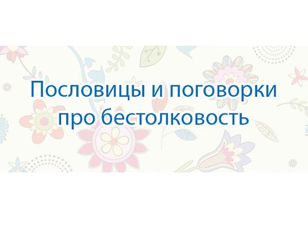 Интересные пословицы и поговорки в картинках