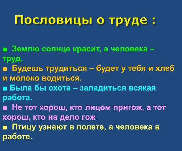 Интересные пословицы и поговорки в картинках