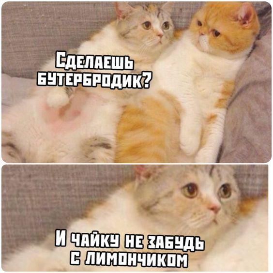 Новые забавные мемы четверга