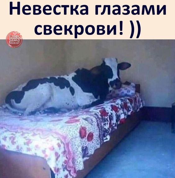 Новые забавные мемы пятницы