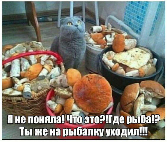 Новые забавные мемы пятницы