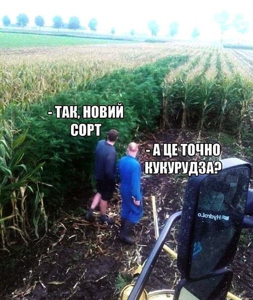 Свежие лучшие картинки с надписями субботы