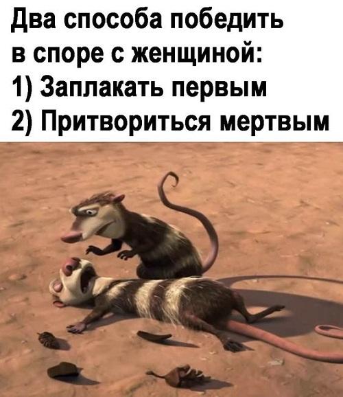 Новые лучшие мемы среды