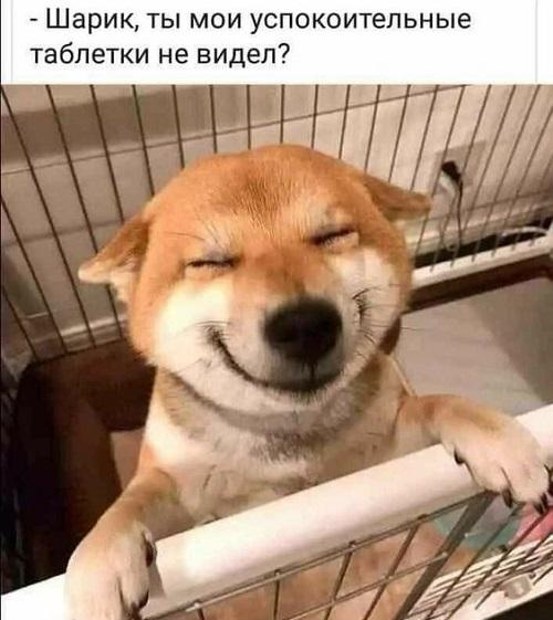 Новые лучшие мемы субботы