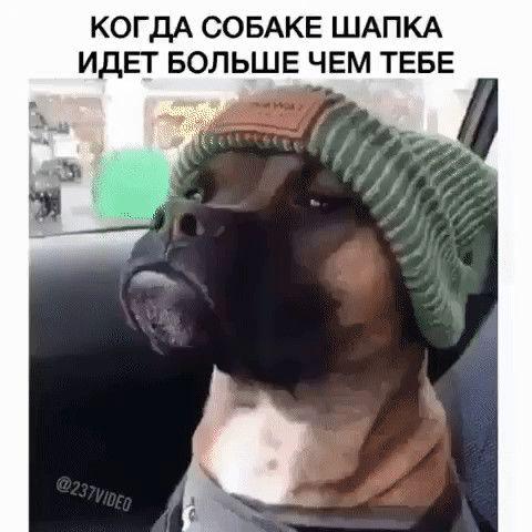 Новые лучшие мемы субботы