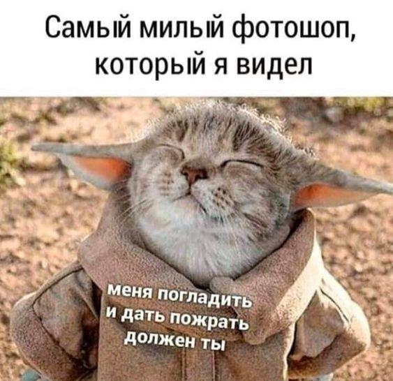 Новые хорошие мемы пятницы