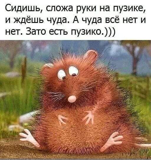 Новые хорошие мемы субботы