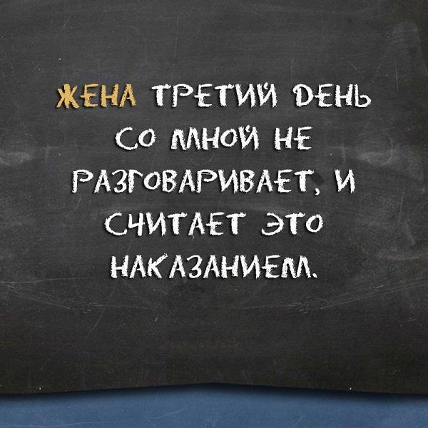 Подробнее о статье Остроумные и очень смешные выражения