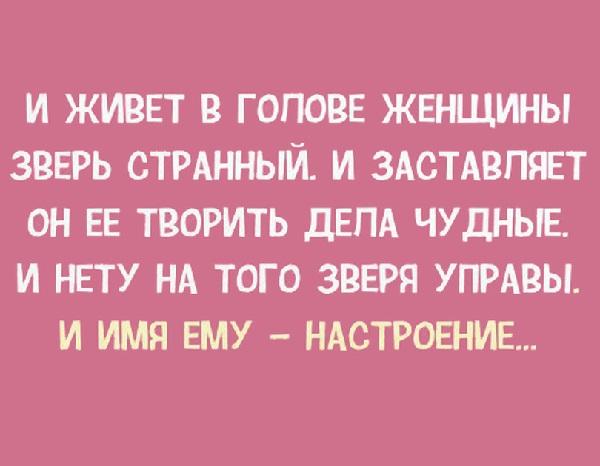 Остроумные выражения на картинках