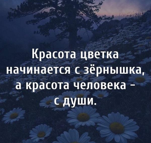 Мудрые фразы на картинках