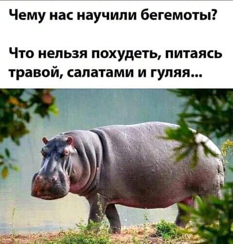 Новые классные мемы вторника