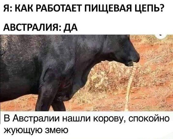 Новые классные мемы вторника