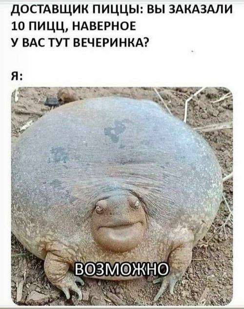 Новые классные мемы вторника