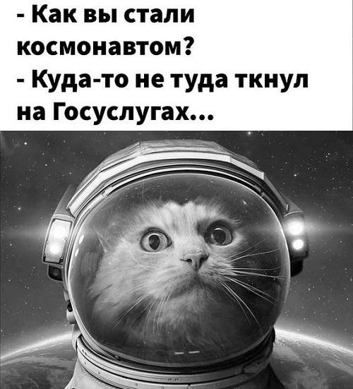 Новые классные мемы среды