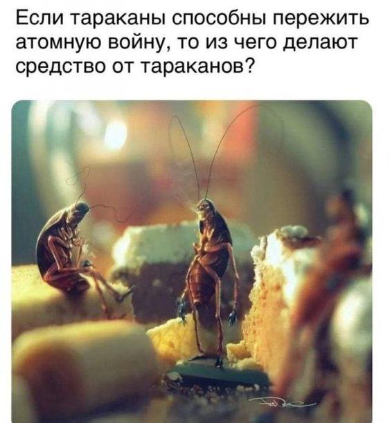 Новые улетные мемы субботы