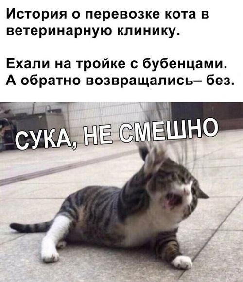 Новые улетные мемы воскресенья