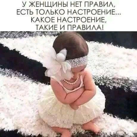 Новые убойные мемы вторника