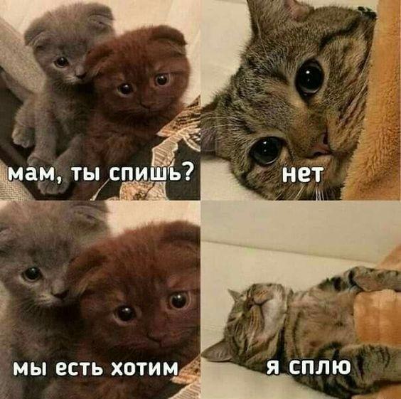 Новые убойные мемы пятницы