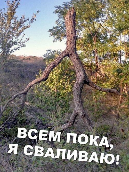 Новые убойные мемы воскресенья