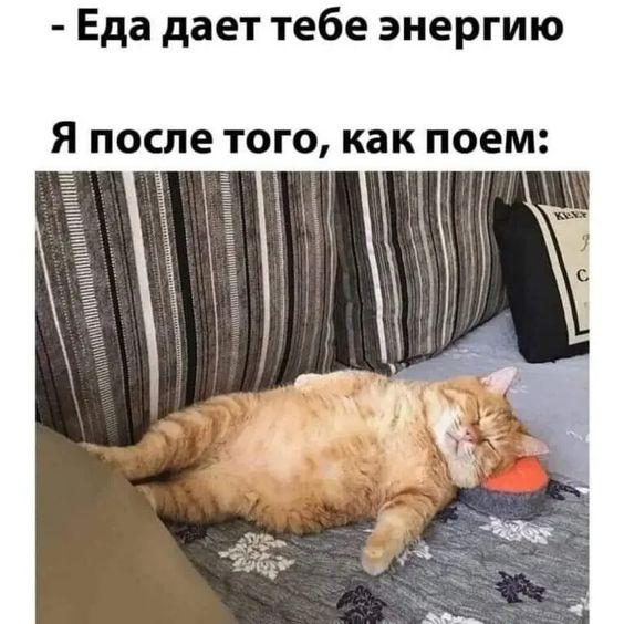 Новые угарные мемы понедельника