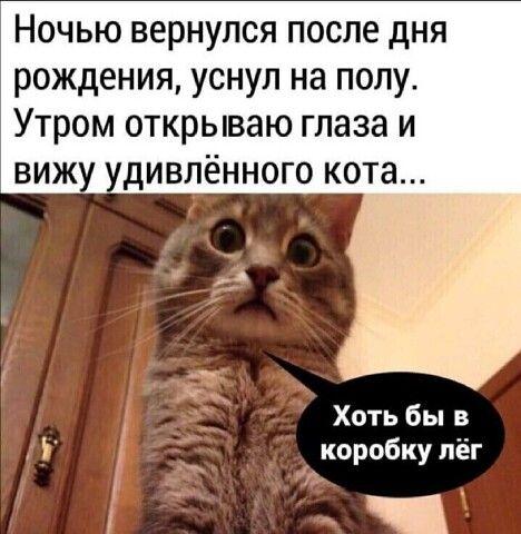 Новые угарные мемы пятницы