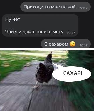 Новые клевые мемы вторника