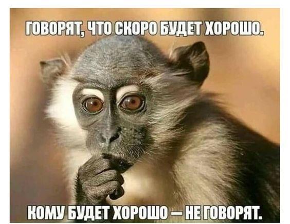 Новые клевые мемы среды