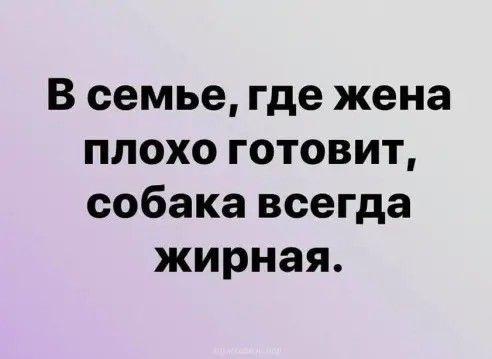 Подробнее о статье Новые клевые шутки четверга