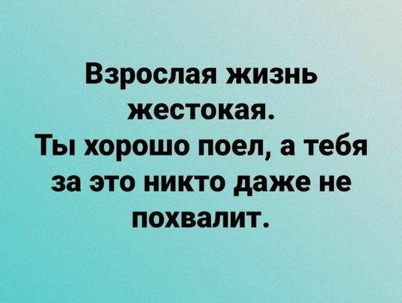 Подробнее о статье Новые угарные шутки вторника