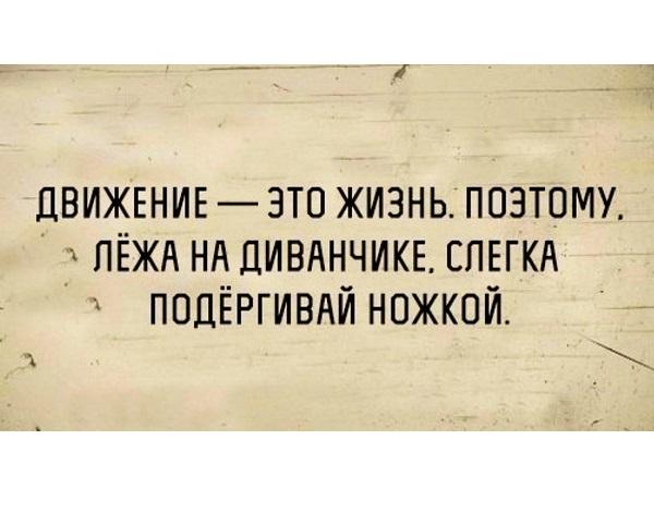 Подробнее о статье Смешные до слез афоризмы про жизнь