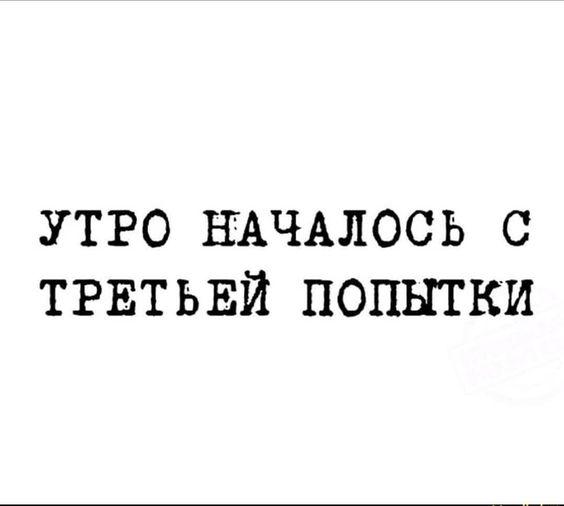 Свежие прикольные картинки с шутками