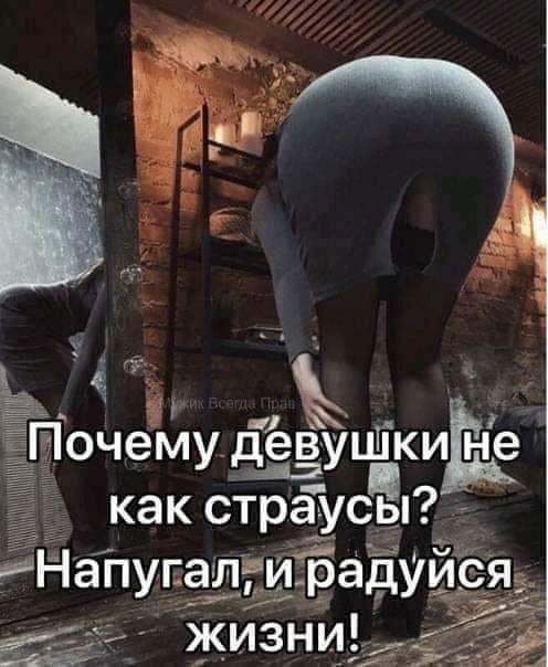 Новые клевые мемы пятницы