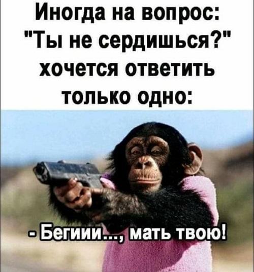 Свежайшие мемы вторника