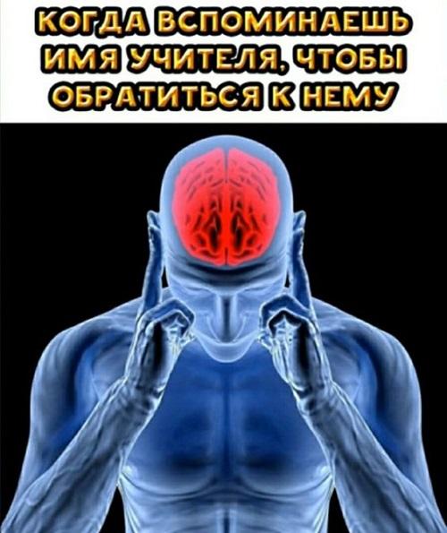 Новые смешные до слез картинки с надписями вторника