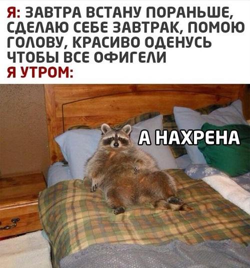 Свеженькие мемы понедельника