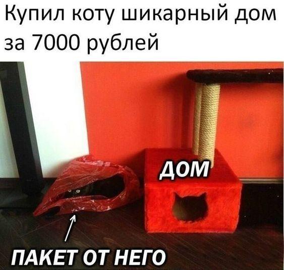 Свеженькие мемы понедельника