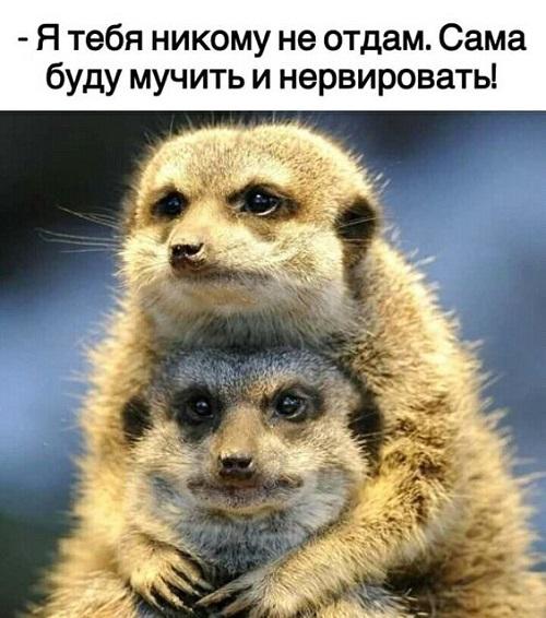 Свеженькие мемы четверга