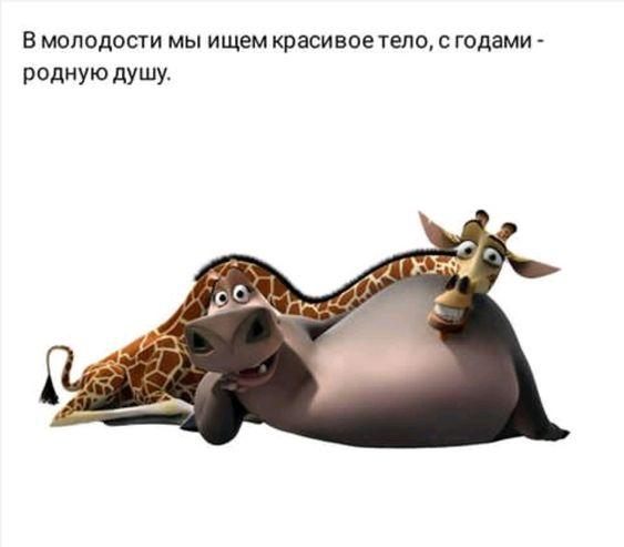 Смешные мемы (среда)