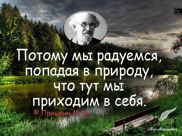 Цитаты про красоту природы (картинки)