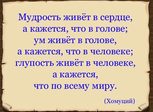 Подробнее о статье Цитаты про ум и мудрость